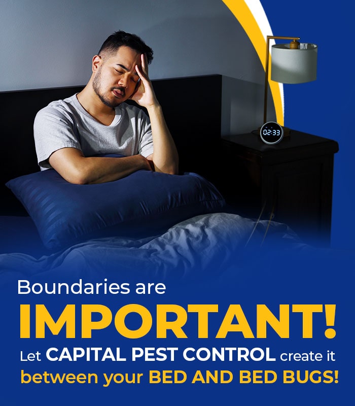 website mobile Banner